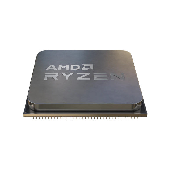 AMD Ryzen 5 5500 (3.6 GHz / 4.2 GHz) Tray