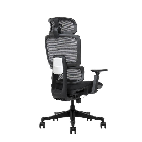 SKILLCHAIRS Ergo Vita