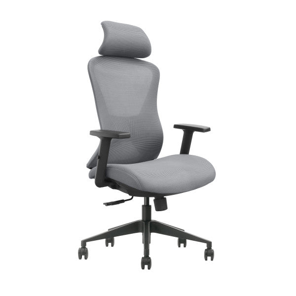 SKILLCHAIRS GK2-BH-12 (Gray)